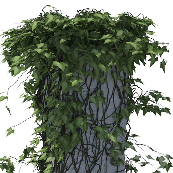 石柱上的爬藤植物3d模型插图1