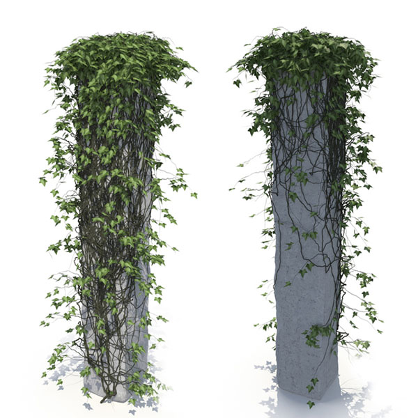 石柱上的爬藤植物3d模型插图