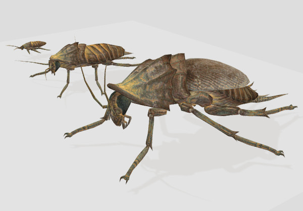 变异的巨星蟑螂（小强）fbx模型插图1