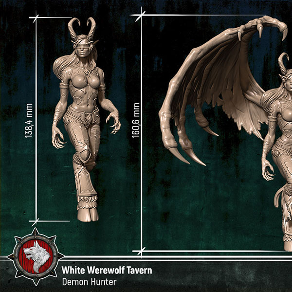 恶魔猎人魔兽世界粉丝3D打印模型插图2
