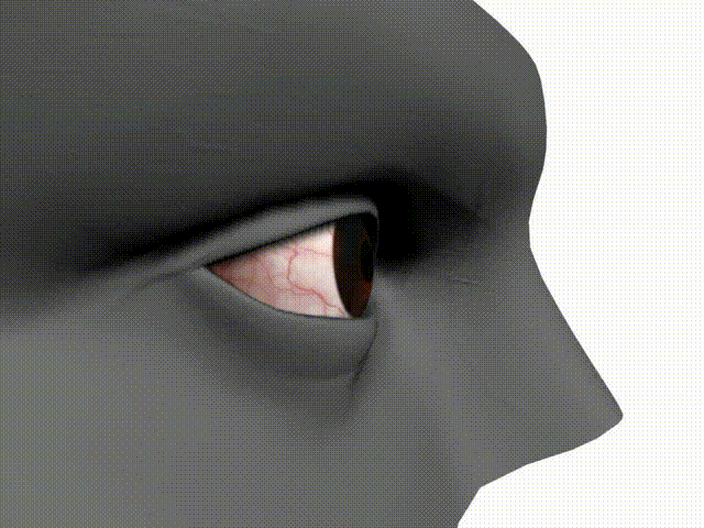 人类各种材质的眼睛眼球模型合集+眼珠动画maya模型插图