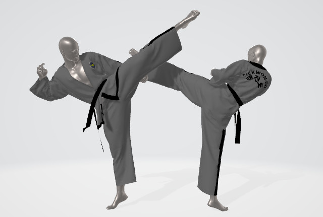 跆拳道运动员模特动作3d模型插图