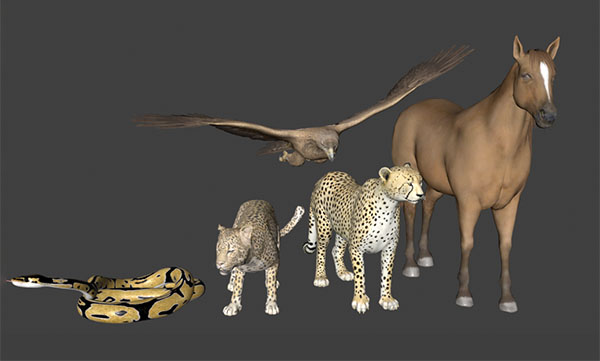 动物模型+blender骨骼绑定+动画模型插图