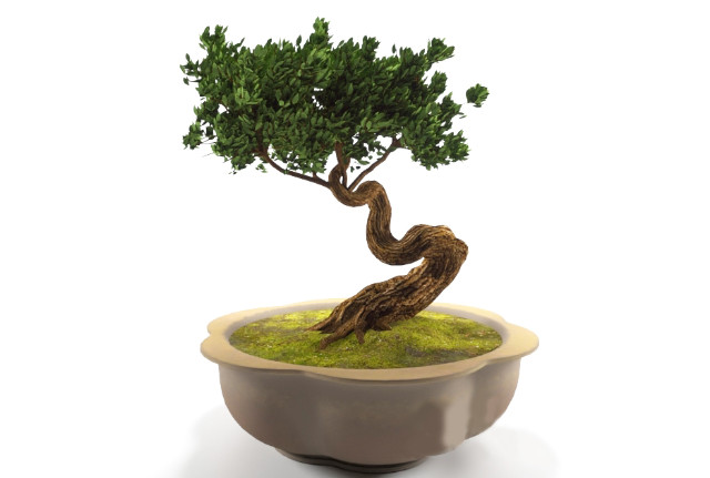 盆栽盆景植物3d模型插图