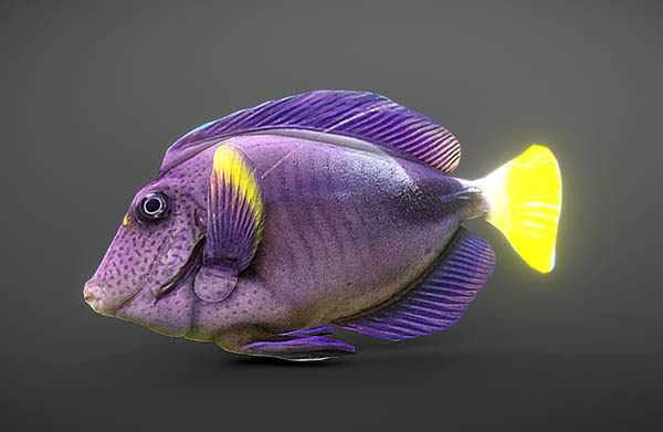 漂亮的紫色热带深海鱼3d模型插图