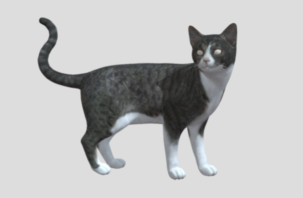 猫3D模型 – 静态姿势插图