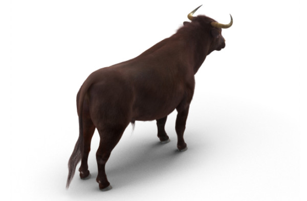 3D Bull Rigged with Fur公牛3dmax模型插图2