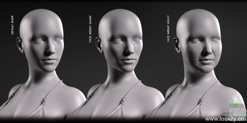 女性体型身材多样性变化控制DAZ3D模型合集插图1