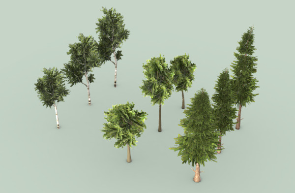 景观树合集插图