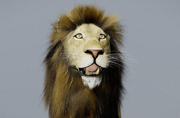 狮子插图1