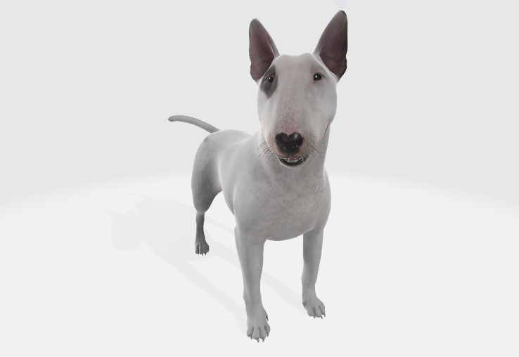 斗牛犬3d模型插图