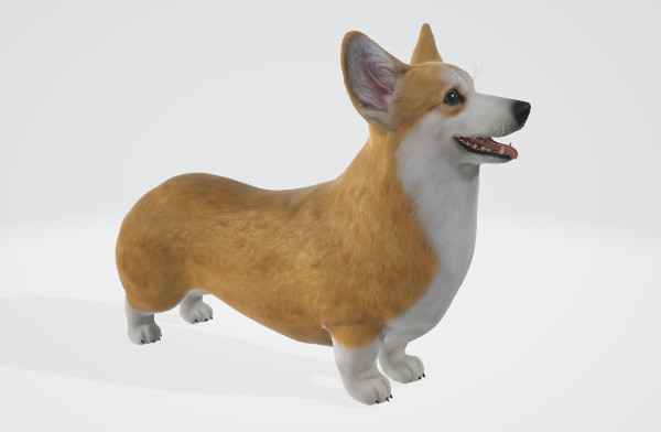 小短腿柯基犬3d模型 带动画插图2