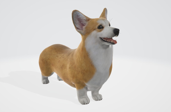 小短腿柯基犬3d模型 带动画插图