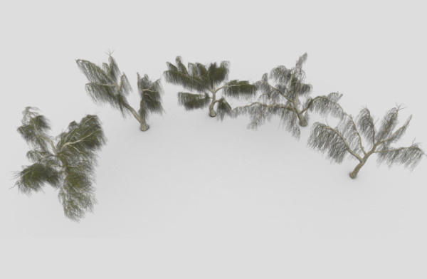 5棵柳树3d模型资源包下载插图