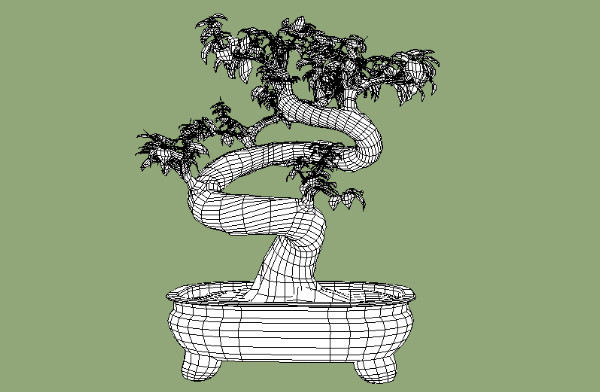 榕树盆景树Ficus Bonsai 3d模型插图