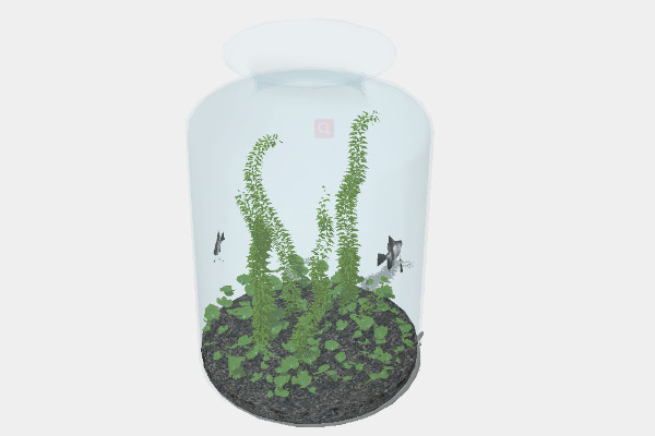 造景玻璃鱼缸SketchUp模型插图