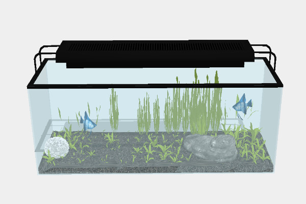 长方形大鱼缸SketchUp模型插图