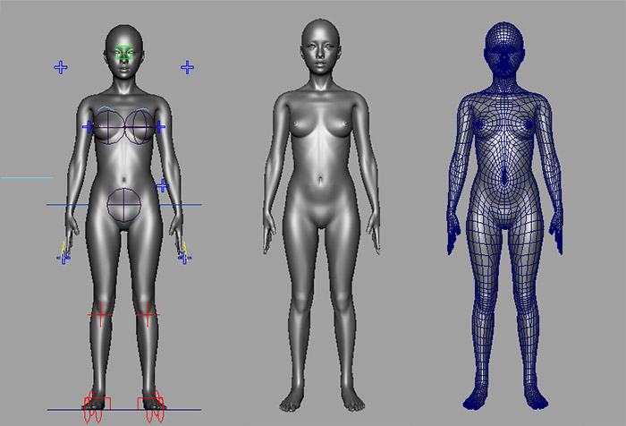 maya绑定女人体角色模型插图