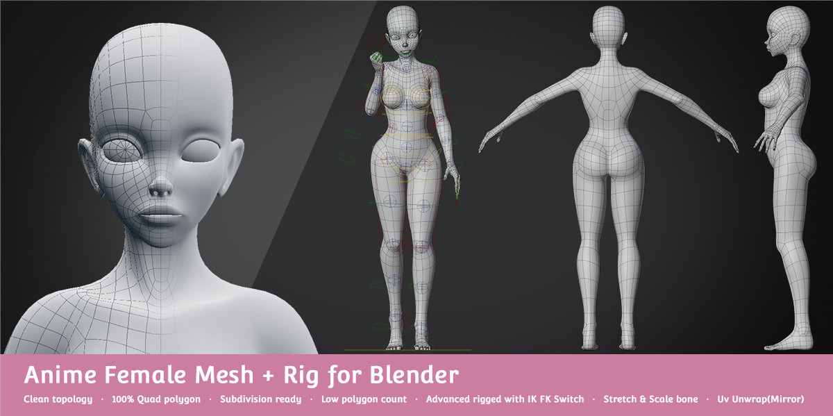 C653-8套基础网格人物角色Blender C4D模型包-动漫女性角色绑定模型插图