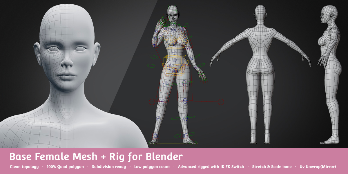 C653-8套基础网格人物角色Blender C4D模型包-基本女性角色绑定模型插图