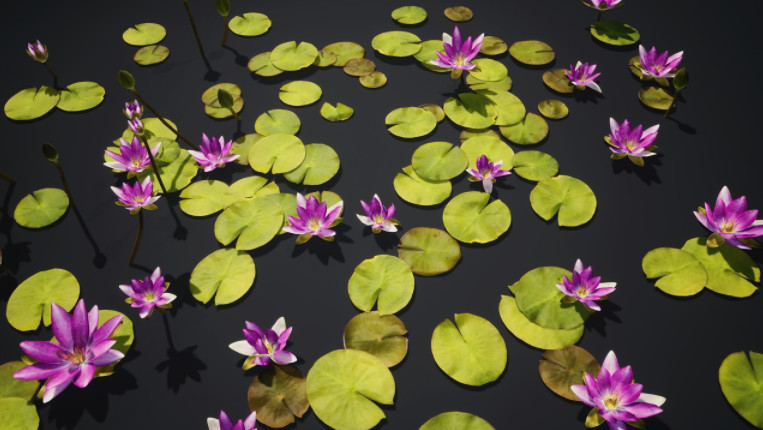 水生漂浮植物-小莲花fbx模型插图1