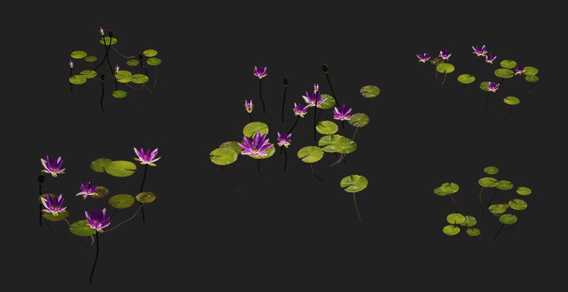水生漂浮植物-小莲花fbx模型插图