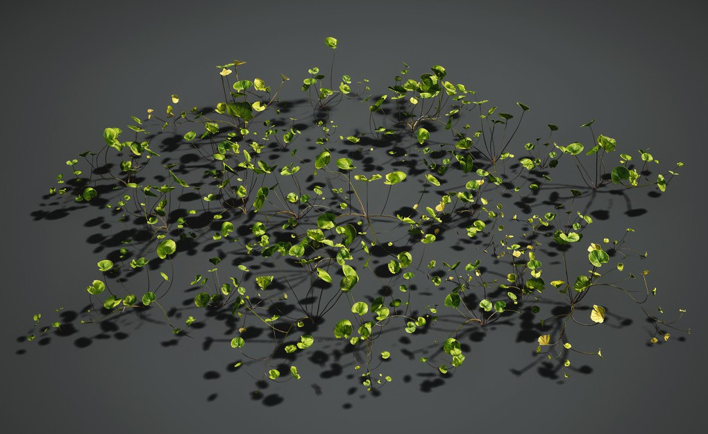 漂浮的水生植物3d模型下载插图1