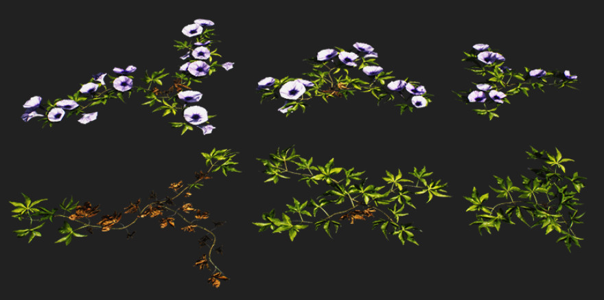 牵牛花植物3d模型下载插图1