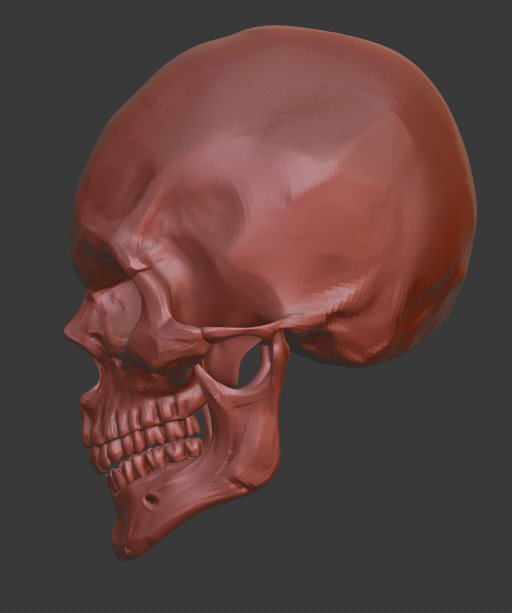 人类头骨骷髅头OBJ模型下载插图1