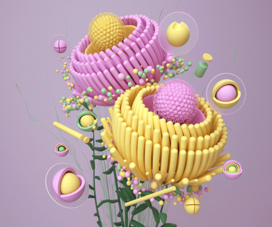 黄色卡通花卉植物c4d模型下载插图