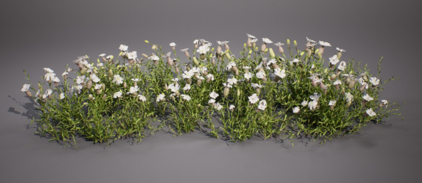海豚花3D植物开花植物模型下载插图