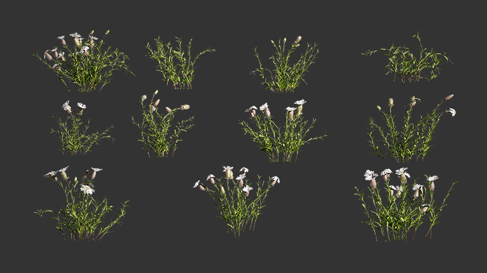 海豚花3D植物开花植物模型下载插图1