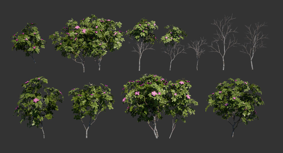 花卉灌木植物3d开花植物模型下载插图1