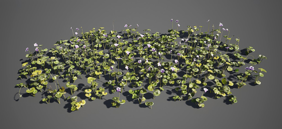 自然地被植物3D植物开花植物模型插图