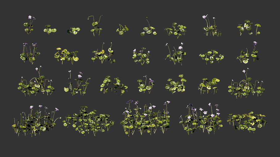 自然地被植物3D植物开花植物模型插图1