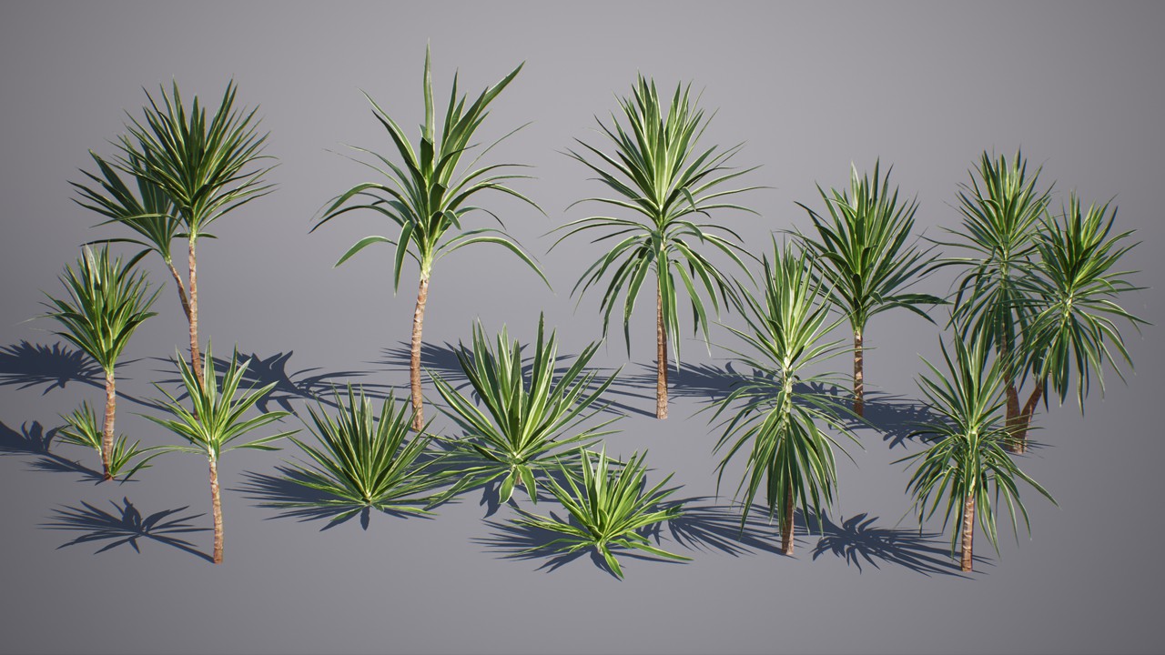 热带植物 棕榈树灌木植物3d模型下载插图