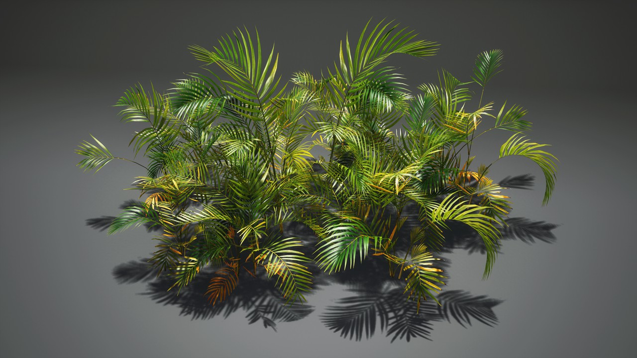 亚热带棕榈树灌木植物3d模型下载插图