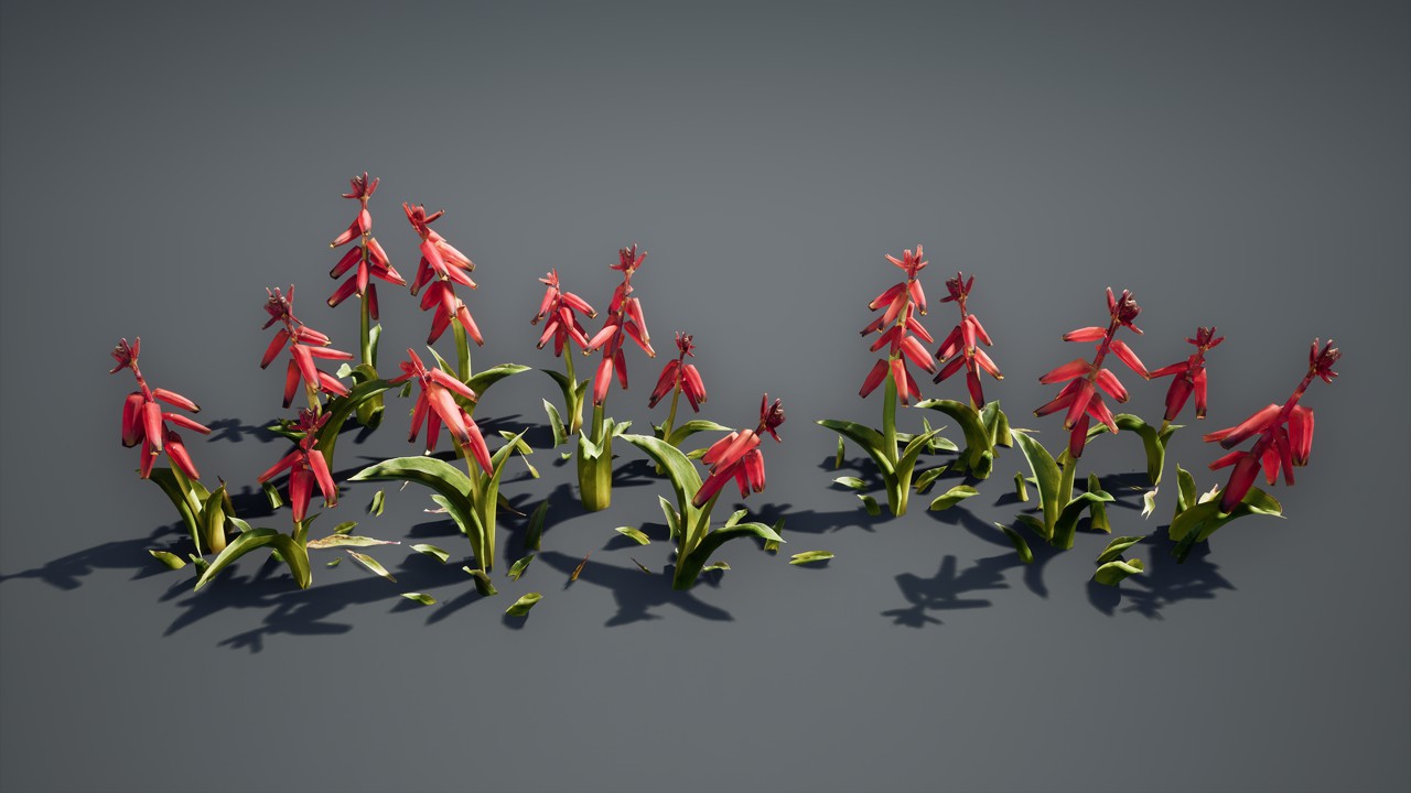 红色开花花卉植物3d模型下载插图