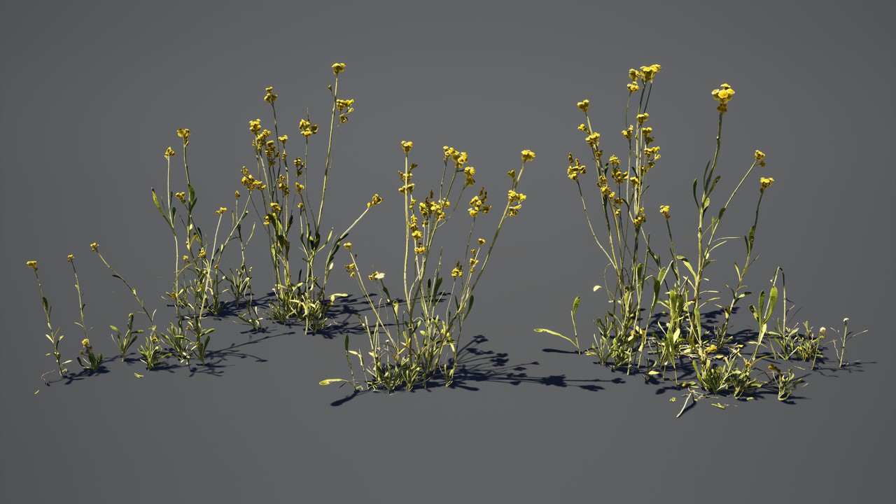 花园植物开花紫罗兰3d模型下载插图