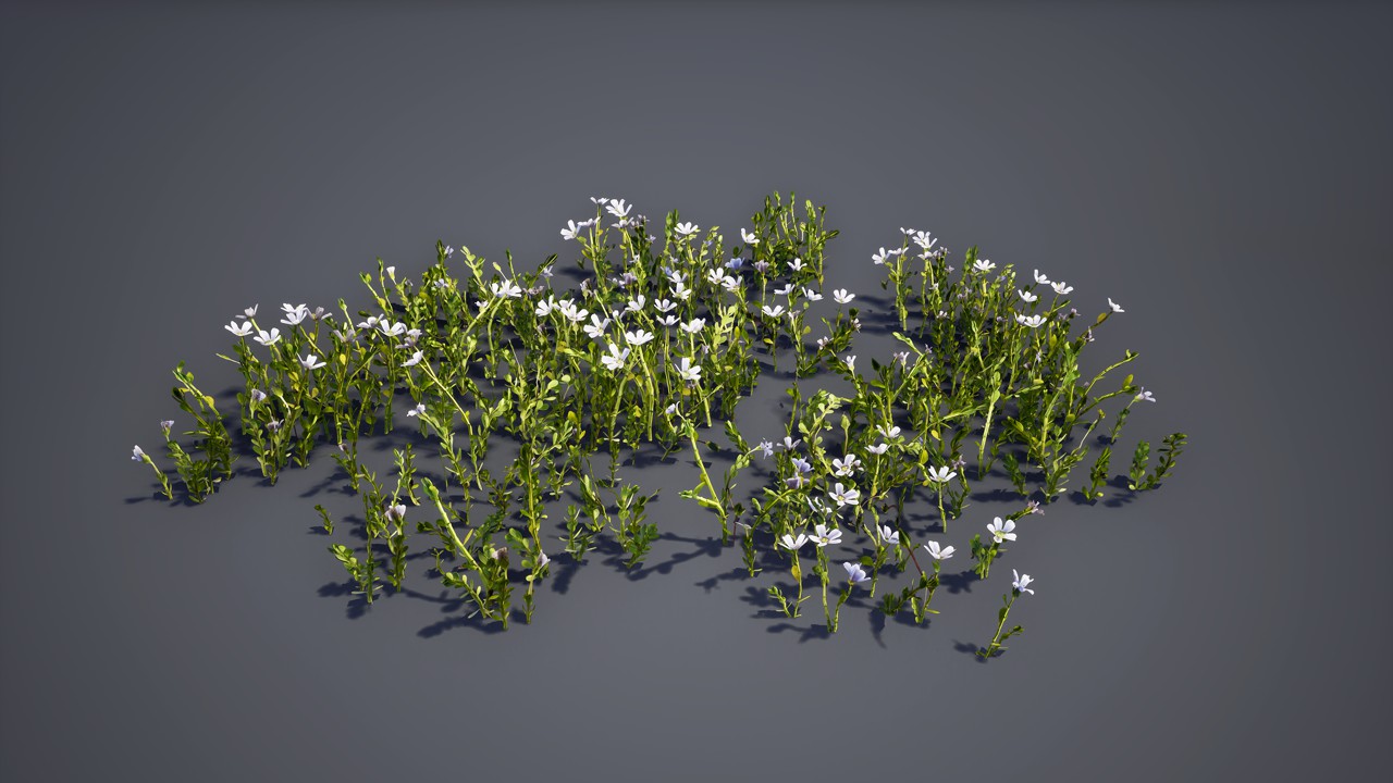 园林开花植物3d模型下载插图