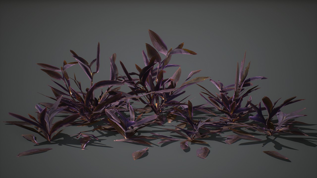 紫竹梅花卉植物3d模型插图