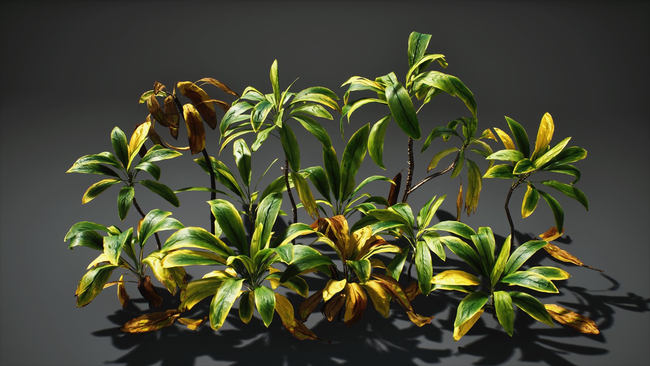 朱蕉花卉盆栽植物3d模型插图