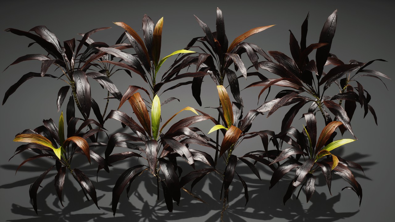 朱蕉花卉植物3d模型下载3插图