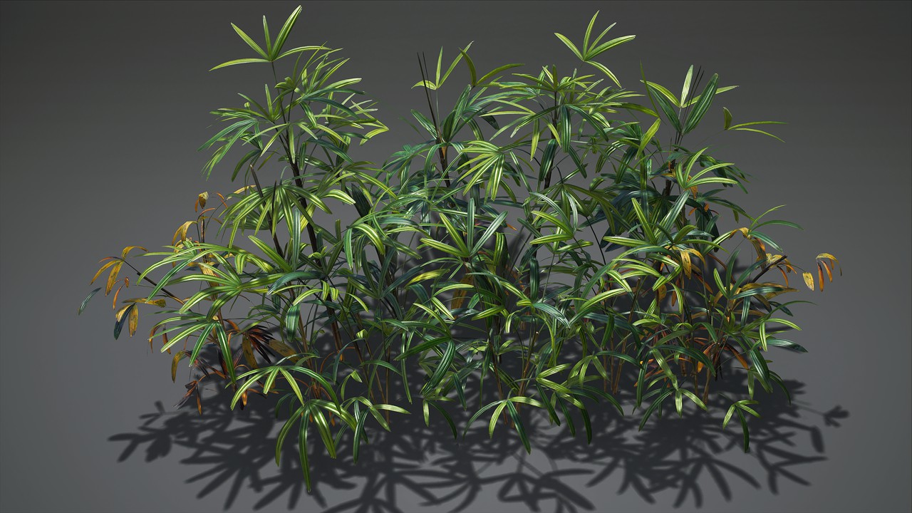 棕竹植物3d模型下载插图