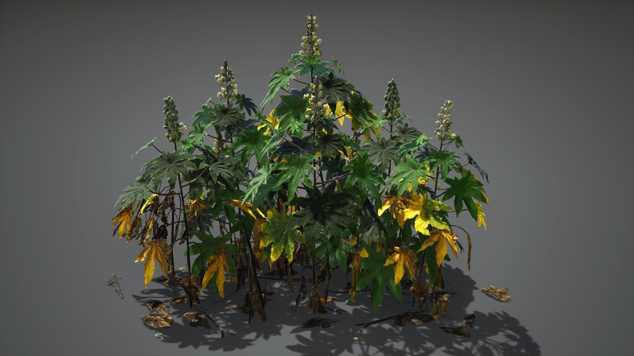 蓖麻植物3d模型下载插图