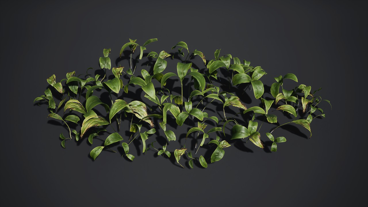 白花紫露草植物3d模型下载插图