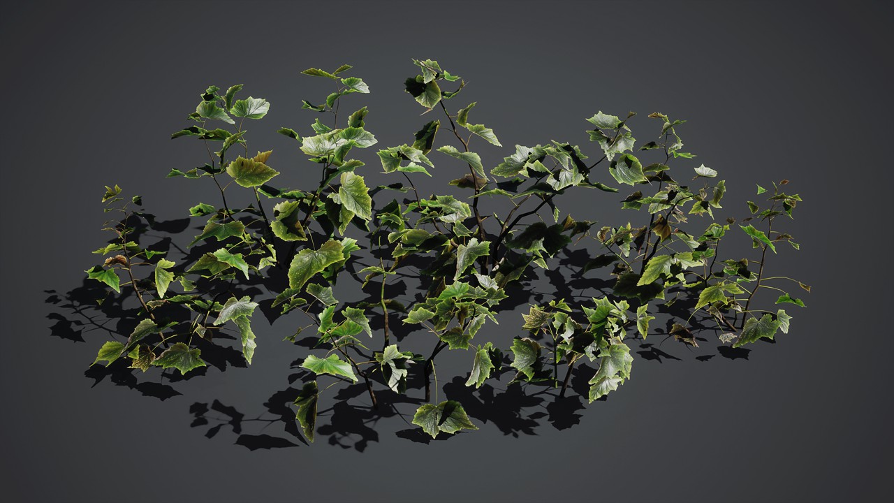 洋常春藤吊篮植物3d模型下载插图