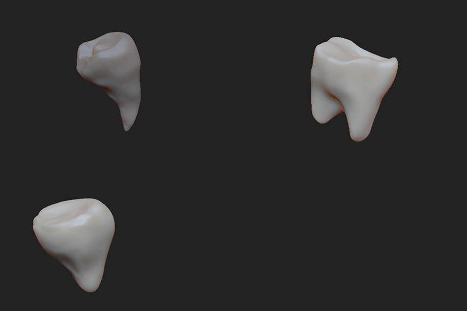 三颗牙齿写实obj模型下载插图