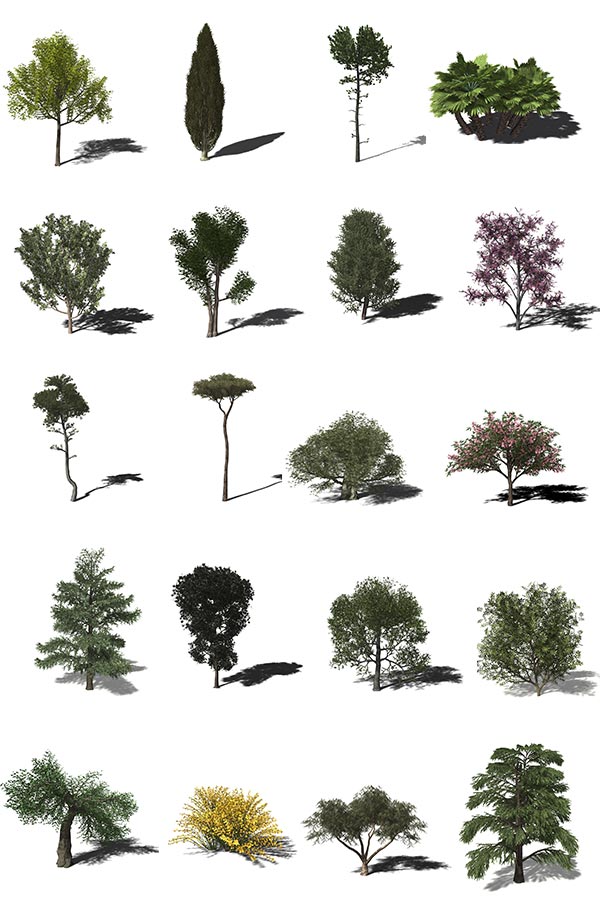 20种 树木 灌木 植物合集模型下载插图