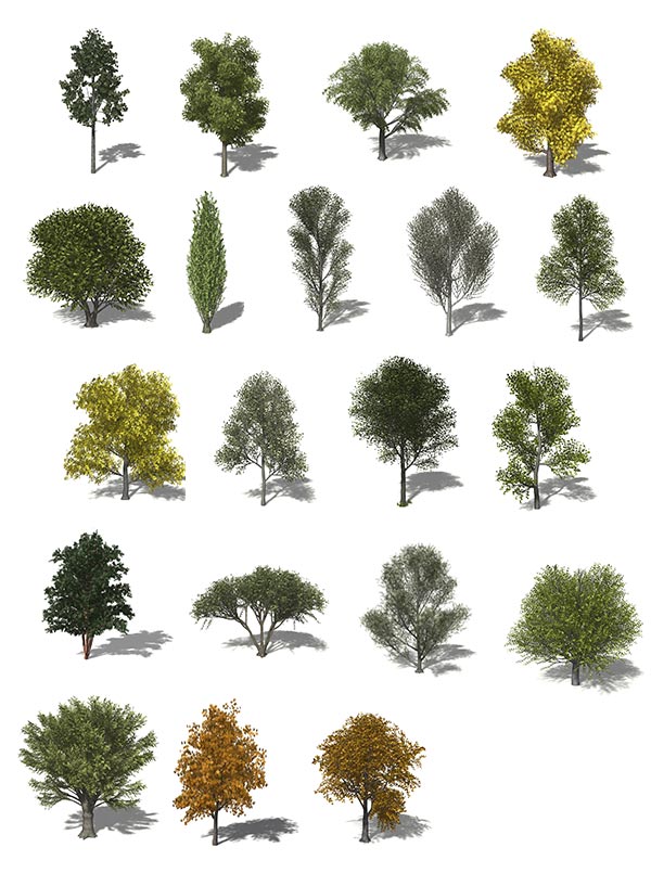 60个 丘陵 平原 植物 模型C4D文件下载插图